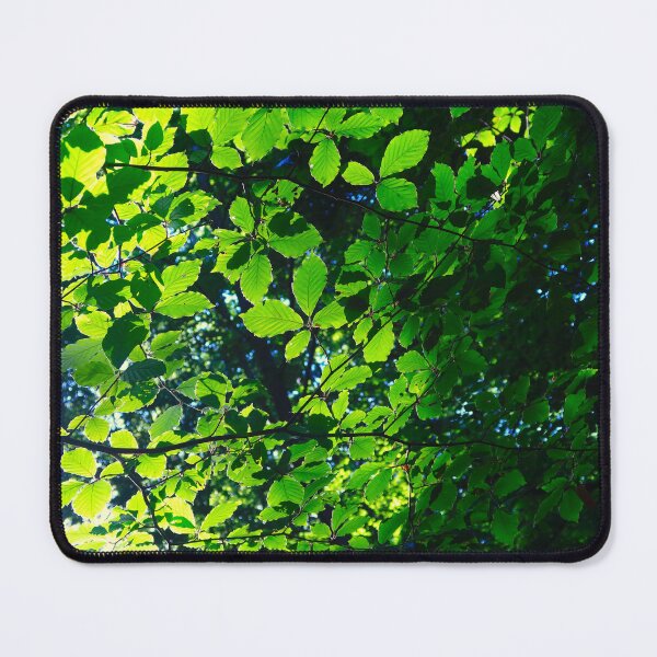 Item preview, Green Beech Tree Foliage designed and sold by KaSaPo.