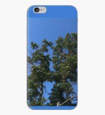Sky Through The Trees iPhone Case