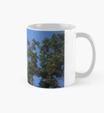 Sky Through The Trees Mug