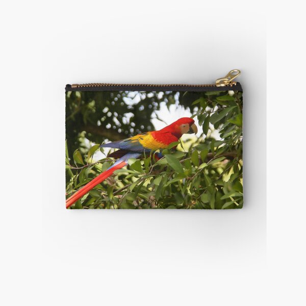 Item preview, Scarlet Macaw designed and sold by Carole-Anne.