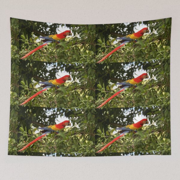 Item preview, Scarlet Macaw designed and sold by Carole-Anne.