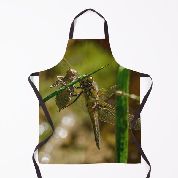 Item preview, Zombie and the Chaser. Four-spotted chaser designed and sold by Jouko Lehto Photography.