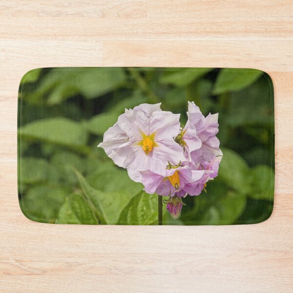 Item preview, flowers of a potato plant designed and sold by xophotography.