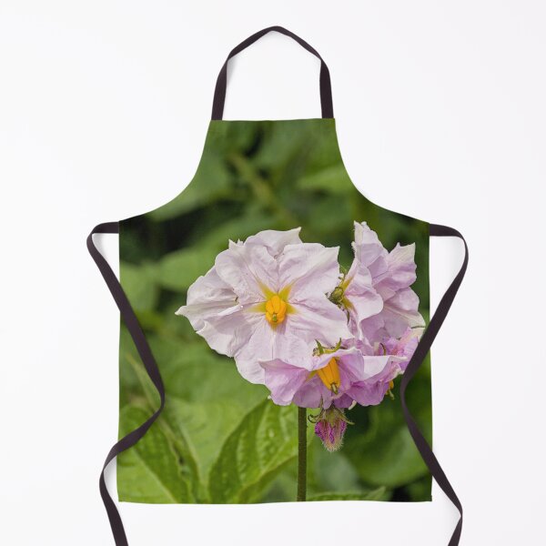 Item preview, flowers of a potato plant designed and sold by xophotography.