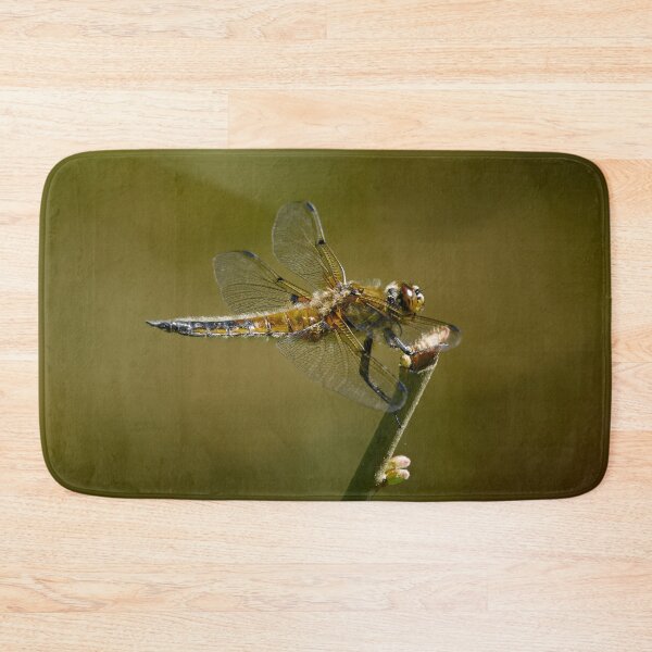 Item preview, Time to rest time to fly. Four-spotted chaser designed and sold by Jouko Lehto Photography.