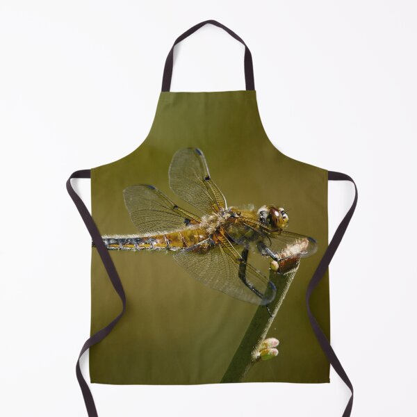 Item preview, Time to rest time to fly. Four-spotted chaser designed and sold by Jouko Lehto Photography.