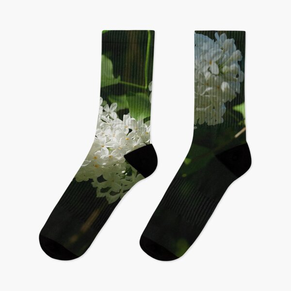 Item preview, Hit by the light. White lilac designed and sold by Jouko Lehto Photography.