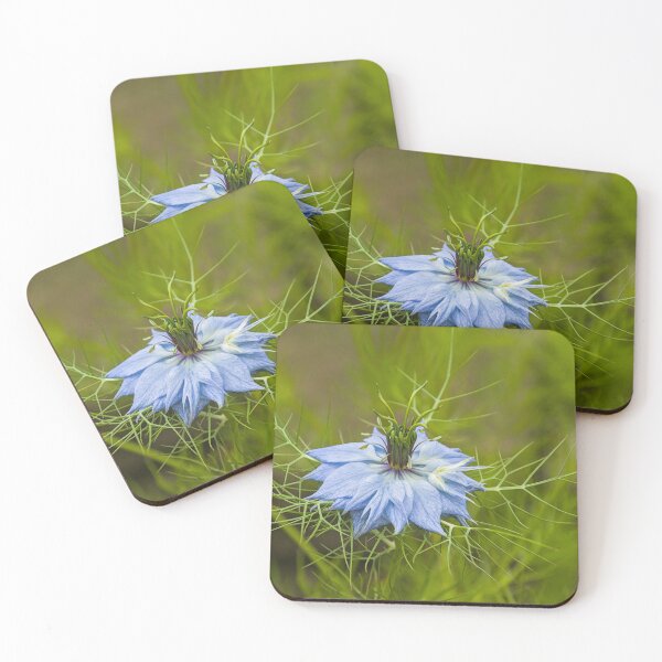Item preview, Love-in-a-mist designed and sold by xophotography.