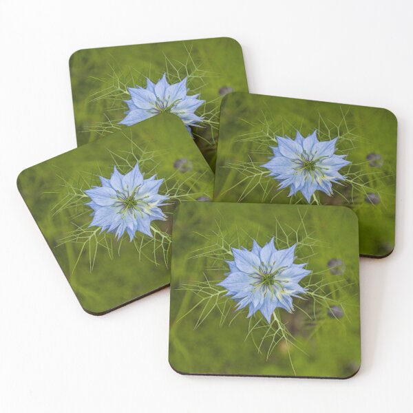 Item preview, love-in-a-mist, Nigella damascena designed and sold by xophotography.