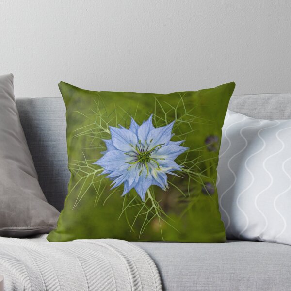 Item preview, love-in-a-mist, Nigella damascena designed and sold by xophotography.