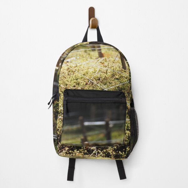 Item preview, Kyoto Imperial Palace garden designed and sold by swan2sky.