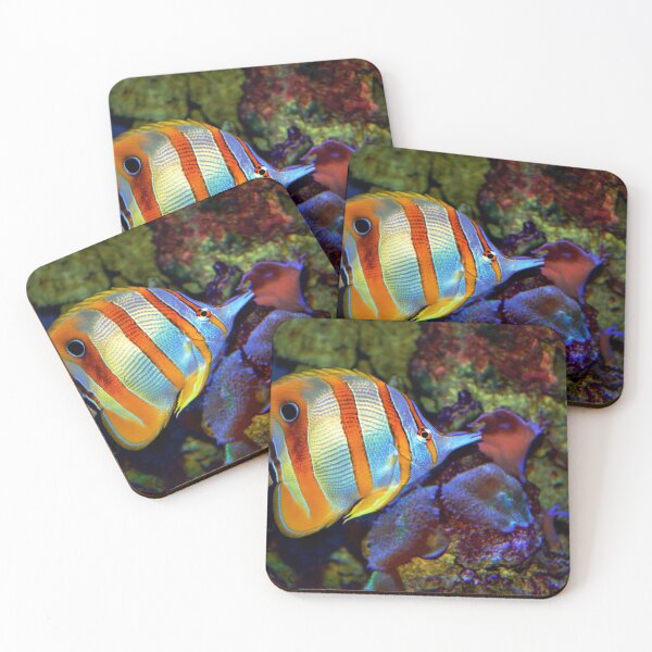 Item preview, Copperband Butterflyfish designed and sold by Savannah Gibbs.
