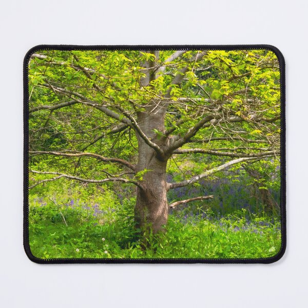 Item preview, Forever Green designed and sold by Christine Lake.