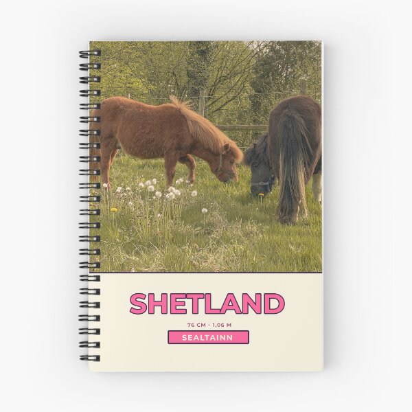 Item preview, poster shetland designed and sold by diyuh0.