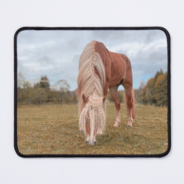 Item preview, Haflinger horse photo designed and sold by diyuh0.