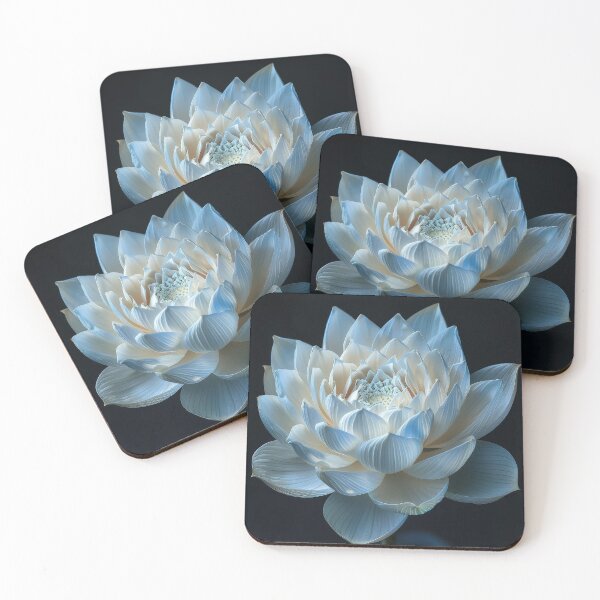 Item preview, White Lotus Flower in Bloom designed and sold by brandway.