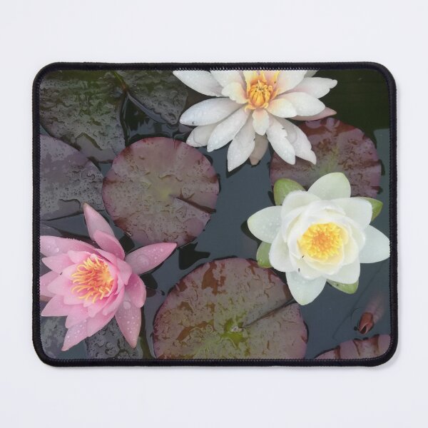 Item preview, Waterlilies photograph  designed and sold by esvb.
