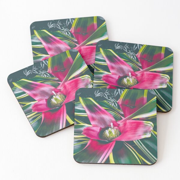 Item preview, Bromeliad Neoregelia designed and sold by abramichellemorris.