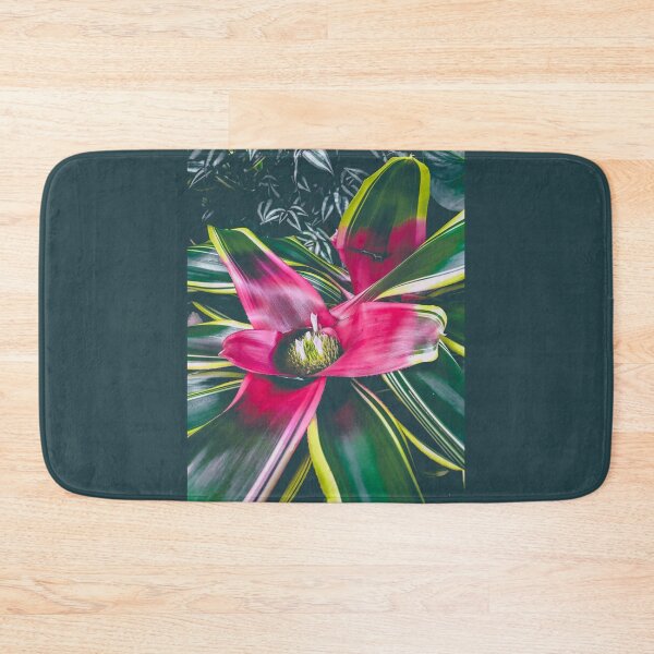 Item preview, Bromeliad Neoregelia designed and sold by abramichellemorris.