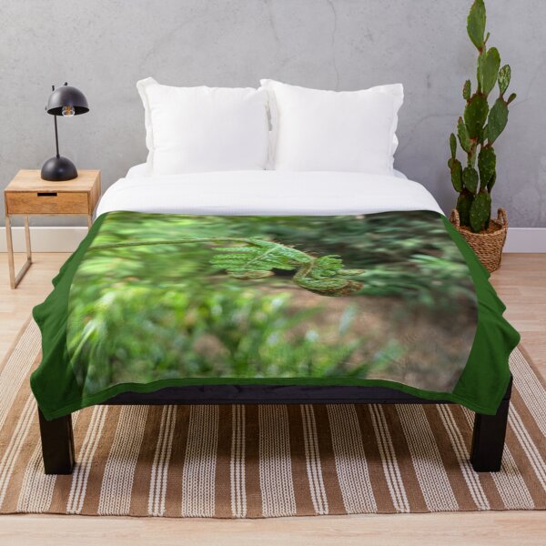 Item preview, Ferns in the Enchanted Forest Nature Photography designed and sold by LoreliDesigns.