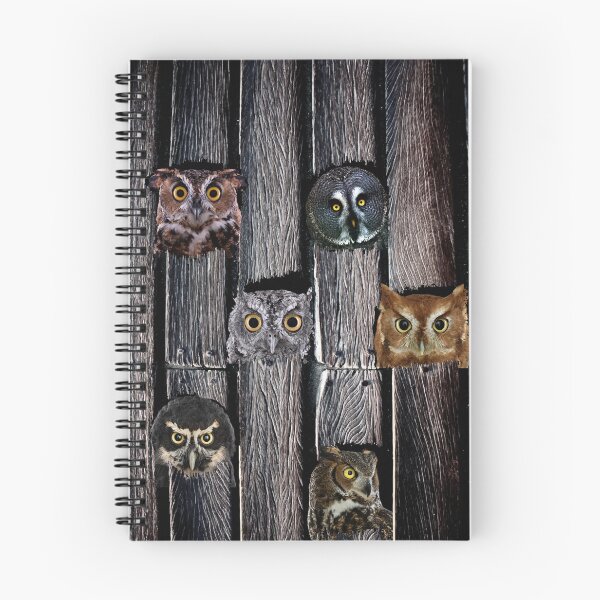 Item preview, OWLS IN HOLES designed and sold by johnnyssandart.