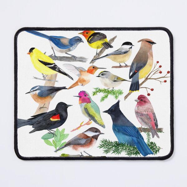 Item preview, Collection of PNW Backyard Birds designed and sold by SMHPaperDesigns.