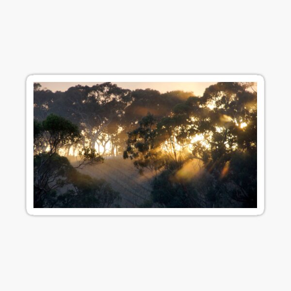 Sunrise on Bennys Hill by Adelaide artist Avril Thomas at Magpie Springs Sticker