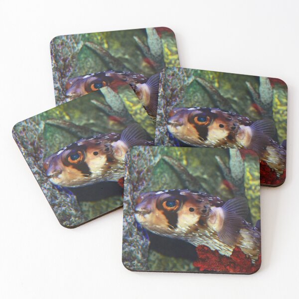 Item preview, Porcupinefish designed and sold by Savannah Gibbs.