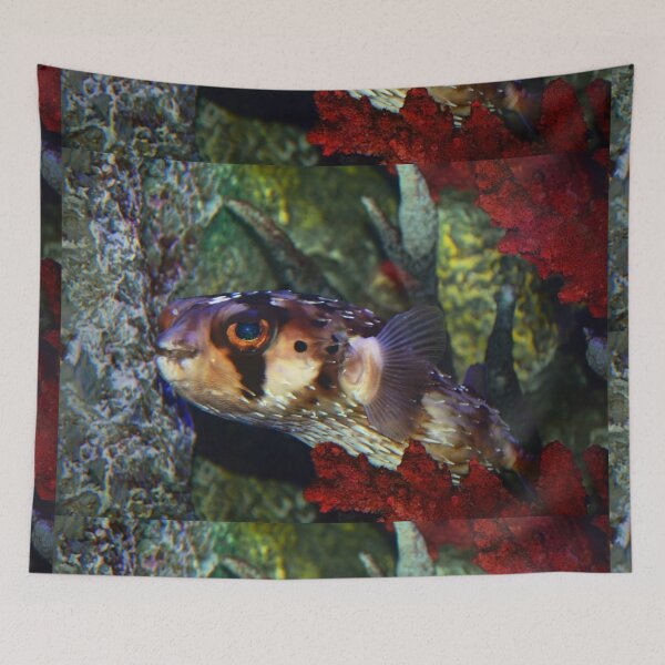Item preview, Porcupinefish designed and sold by Savannah Gibbs.