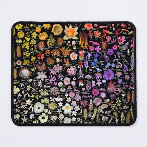 Item preview, Plants of SFBG - Summer-Fall designed and sold by Ricardo Kriebel.