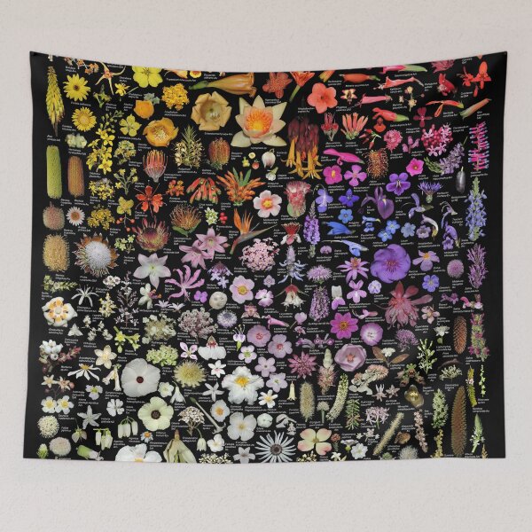 Item preview, Plants of SFBG - Summer-Fall designed and sold by Ricardo Kriebel.