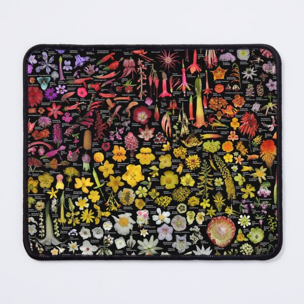 Item preview, Plants of SFBG - Winter-Spring designed and sold by Ricardo Kriebel.