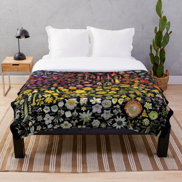 Item preview, Plantas de SFBG - Invierno-Primavera designed and sold by Ricardo Kriebel.