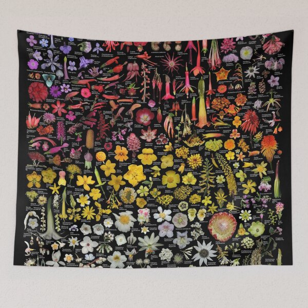 Item preview, Plants of SFBG - Winter-Spring designed and sold by Ricardo Kriebel.