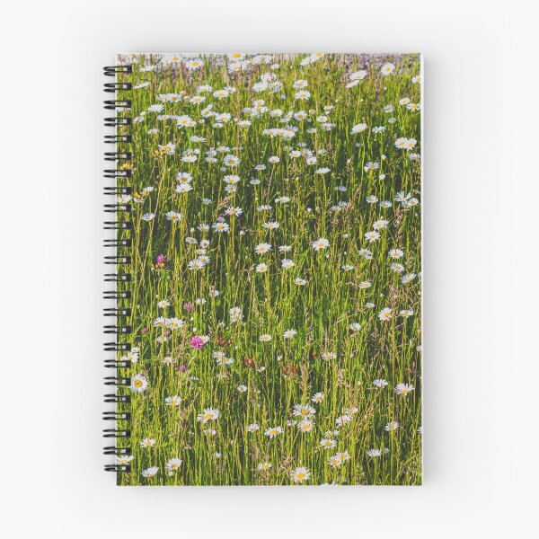 Item preview, Litha Wildflowers in Minnesota 1 designed and sold by Arielle S.