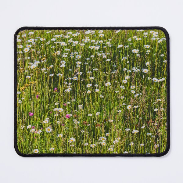 Item preview, Litha Wildflowers in Minnesota 1 designed and sold by Arielle S.