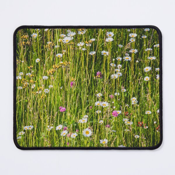 Item preview, Litha Wildflowers in Minnesota 2 designed and sold by Arielle S.