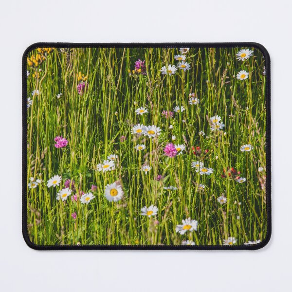 Item preview, Litha Wildflowers in Minnesota 3 designed and sold by Arielle S.