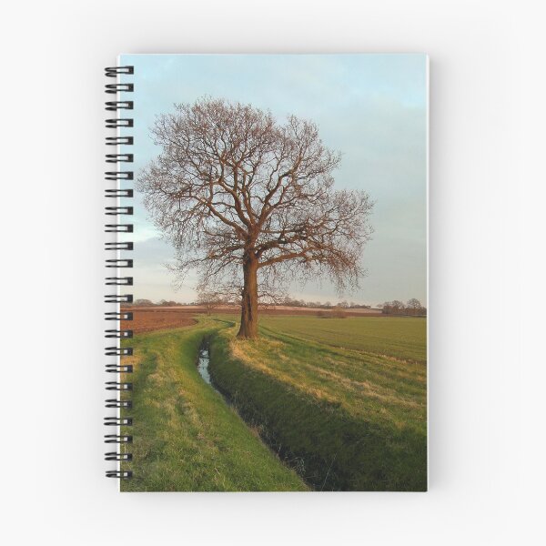 Item preview, Spring is on its way designed and sold by Fay Freshwater.