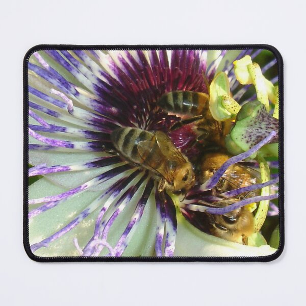 Item preview, Close Up Of Passion Flower with Honey Bee designed and sold by taiche.