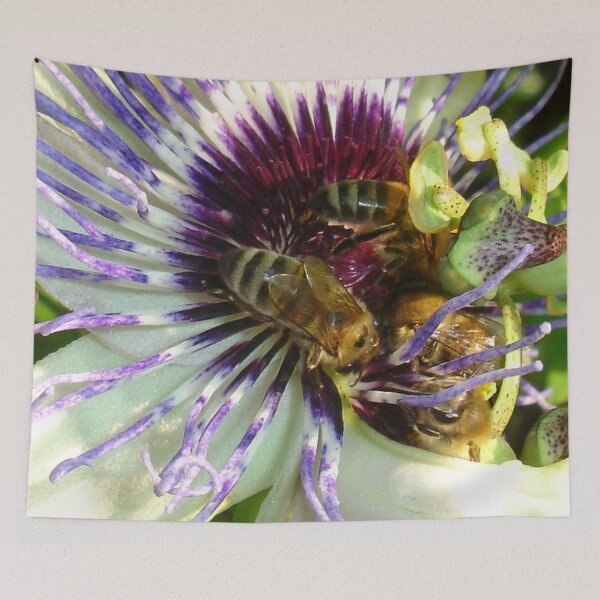 Item preview, Close Up Of  Passion Flower with Honey Bee designed and sold by taiche.