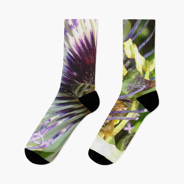 Item preview, Close Up Of  Passion Flower with Honey Bee designed and sold by taiche.