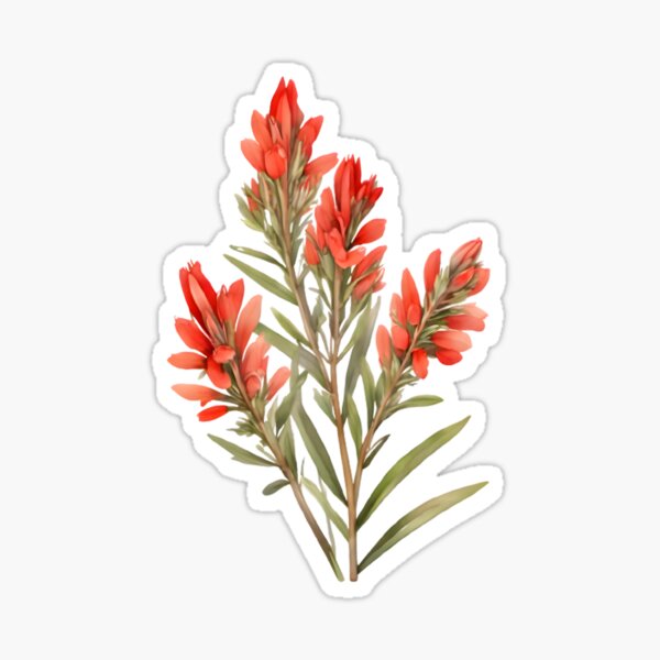 Item preview, Indian paintbrush (Castilleja) designed and sold by hometown86.