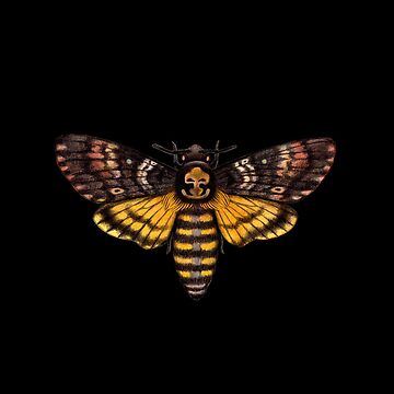 Imagen de la obra Polilla de halcón calavera de Veymoth