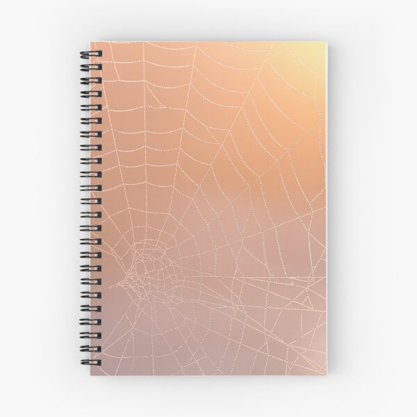 Item preview, Cobweb designed and sold by photobytableau.