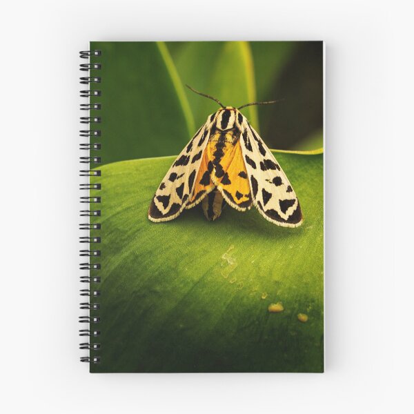 Item preview, The Orange Moth designed and sold by johnny gomez.