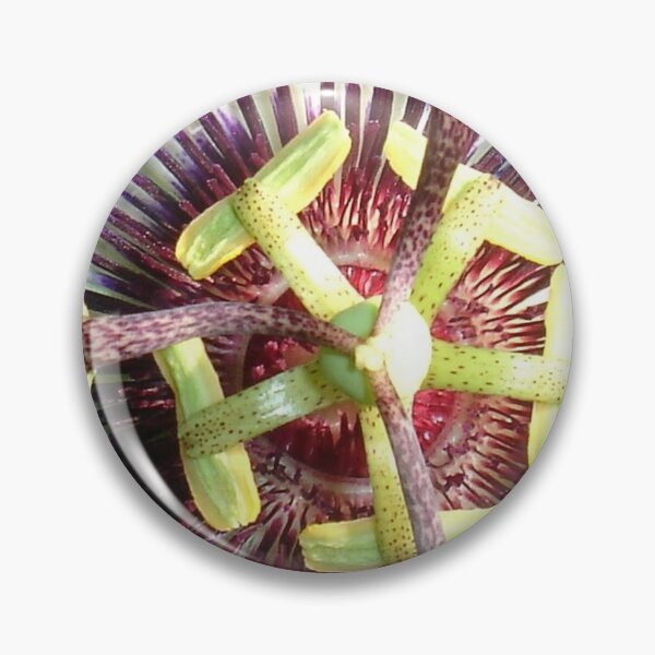 Item preview, Close Up of The Centre Of a Passiflora Flower designed and sold by taiche.