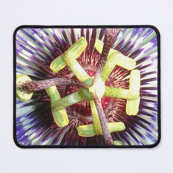 Item preview, Close Up of The Centre Of a Passiflora Flower designed and sold by taiche.
