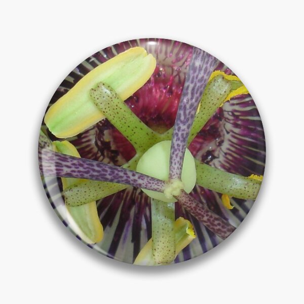 Item preview, Passion Flower Close Up designed and sold by taiche.
