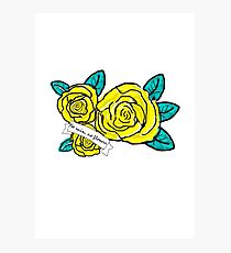 yellow no flowers Photographic Print